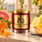MAISON NOOR Citron and Mandarin red glass candle with gold lid, styled with mandarin, grapefruit, lemon, orange, peach and vanilla on a sunlit terrace.